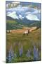 Mount St. Helens, Washington - Elk and Meadow-Lantern Press-Mounted Art Print