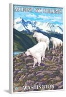 Mount St. Helens, Washington - Goat Family-Lantern Press-Framed Art Print