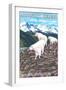 Mount St. Helens, Washington - Goat Family-Lantern Press-Framed Art Print