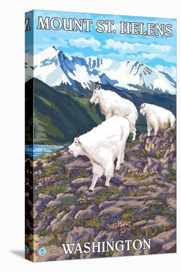Mount St. Helens, Washington - Goat Family-Lantern Press-Stretched Canvas