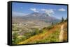 Mount St. Helens with wild flowers, Mount St. Helens National Volcanic Monument, Washington State, -Richard Maschmeyer-Framed Stretched Canvas