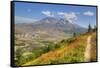 Mount St. Helens with wild flowers, Mount St. Helens National Volcanic Monument, Washington State, -Richard Maschmeyer-Framed Stretched Canvas