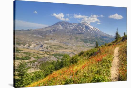 Mount St. Helens with wild flowers, Mount St. Helens National Volcanic Monument, Washington State, -Richard Maschmeyer-Stretched Canvas