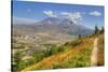 Mount St. Helens with wild flowers, Mount St. Helens National Volcanic Monument, Washington State, -Richard Maschmeyer-Stretched Canvas