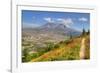 Mount St. Helens with wild flowers, Mount St. Helens National Volcanic Monument, Washington State, -Richard Maschmeyer-Framed Photographic Print