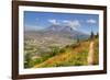 Mount St. Helens with wild flowers, Mount St. Helens National Volcanic Monument, Washington State, -Richard Maschmeyer-Framed Photographic Print