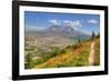 Mount St. Helens with wild flowers, Mount St. Helens National Volcanic Monument, Washington State, -Richard Maschmeyer-Framed Photographic Print