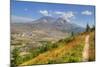 Mount St. Helens with wild flowers, Mount St. Helens National Volcanic Monument, Washington State, -Richard Maschmeyer-Mounted Photographic Print