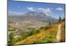Mount St. Helens with wild flowers, Mount St. Helens National Volcanic Monument, Washington State, -Richard Maschmeyer-Mounted Premium Photographic Print