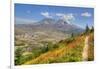 Mount St. Helens with wild flowers, Mount St. Helens National Volcanic Monument, Washington State, -Richard Maschmeyer-Framed Photographic Print