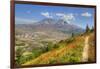 Mount St. Helens with wild flowers, Mount St. Helens National Volcanic Monument, Washington State, -Richard Maschmeyer-Framed Photographic Print