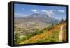 Mount St. Helens with wild flowers, Mount St. Helens National Volcanic Monument, Washington State, -Richard Maschmeyer-Framed Stretched Canvas