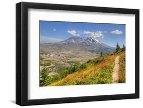 Mount St. Helens with wild flowers, Mount St. Helens National Volcanic Monument, Washington State, -Richard Maschmeyer-Framed Photographic Print