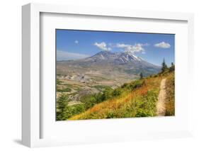 Mount St. Helens with wild flowers, Mount St. Helens National Volcanic Monument, Washington State, -Richard Maschmeyer-Framed Photographic Print