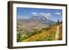 Mount St. Helens with wild flowers, Mount St. Helens National Volcanic Monument, Washington State, -Richard Maschmeyer-Framed Photographic Print