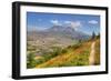 Mount St. Helens with wild flowers, Mount St. Helens National Volcanic Monument, Washington State, -Richard Maschmeyer-Framed Photographic Print