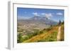 Mount St. Helens with wild flowers, Mount St. Helens National Volcanic Monument, Washington State, -Richard Maschmeyer-Framed Photographic Print