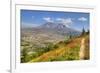 Mount St. Helens with wild flowers, Mount St. Helens National Volcanic Monument, Washington State, -Richard Maschmeyer-Framed Photographic Print