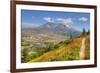 Mount St. Helens with wild flowers, Mount St. Helens National Volcanic Monument, Washington State, -Richard Maschmeyer-Framed Photographic Print