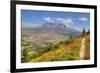 Mount St. Helens with wild flowers, Mount St. Helens National Volcanic Monument, Washington State, -Richard Maschmeyer-Framed Photographic Print