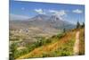 Mount St. Helens with wild flowers, Mount St. Helens National Volcanic Monument, Washington State, -Richard Maschmeyer-Mounted Photographic Print