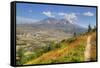 Mount St. Helens with wild flowers, Mount St. Helens National Volcanic Monument, Washington State, -Richard Maschmeyer-Framed Stretched Canvas