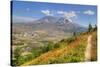 Mount St. Helens with wild flowers, Mount St. Helens National Volcanic Monument, Washington State, -Richard Maschmeyer-Stretched Canvas