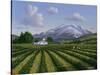 Mount Sta Helena - Napa Valley-Eduardo Camoes-Stretched Canvas