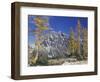 Mount Stuart with Golden Larch Trees, Mount Stuart Range, Washington, USA-null-Framed Photographic Print