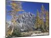 Mount Stuart with Golden Larch Trees, Mount Stuart Range, Washington, USA-null-Mounted Photographic Print