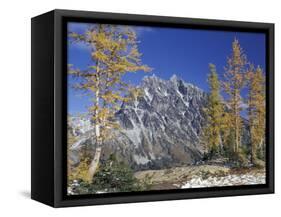 Mount Stuart with Golden Larch Trees, Mount Stuart Range, Washington, USA-null-Framed Stretched Canvas