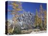 Mount Stuart with Golden Larch Trees, Mount Stuart Range, Washington, USA-null-Stretched Canvas