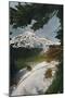 'Mount Tacoma from Eagle Peak, Washington', c1916-Asahel Curtis-Mounted Premium Photographic Print