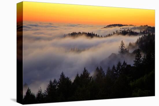 Mount Tamalpais After Sunset, Northern California-Vincent James-Stretched Canvas