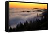 Mount Tamalpais After Sunset, Northern California-Vincent James-Framed Stretched Canvas