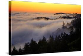 Mount Tamalpais After Sunset, Northern California-Vincent James-Stretched Canvas
