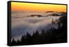 Mount Tamalpais After Sunset, Northern California-Vincent James-Framed Stretched Canvas
