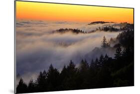 Mount Tamalpais After Sunset, Northern California-Vincent James-Mounted Photographic Print