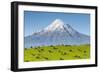 Mount Taranaki (Egmont) and Grazing Dairy Cows, Taranaki, North Island, New Zealand-Doug Pearson-Framed Photographic Print