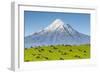 Mount Taranaki (Egmont) and Grazing Dairy Cows, Taranaki, North Island, New Zealand-Doug Pearson-Framed Photographic Print