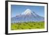 Mount Taranaki (Egmont) and Grazing Dairy Cows, Taranaki, North Island, New Zealand-Doug Pearson-Framed Photographic Print