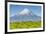 Mount Taranaki (Egmont) and Grazing Dairy Cows, Taranaki, North Island, New Zealand-Doug Pearson-Framed Photographic Print