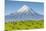 Mount Taranaki (Egmont) and Grazing Dairy Cows, Taranaki, North Island, New Zealand-Doug Pearson-Mounted Photographic Print