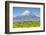 Mount Taranaki (Egmont) and Grazing Dairy Cows, Taranaki, North Island, New Zealand-Doug Pearson-Framed Photographic Print