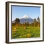 Mount Taranaki (Egmont) Illuminated at Sunrise, North Island, New Zealand-Doug Pearson-Framed Photographic Print