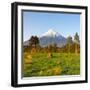 Mount Taranaki (Egmont) Illuminated at Sunrise, North Island, New Zealand-Doug Pearson-Framed Photographic Print