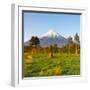 Mount Taranaki (Egmont) Illuminated at Sunrise, North Island, New Zealand-Doug Pearson-Framed Photographic Print