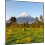 Mount Taranaki (Egmont) Illuminated at Sunrise, North Island, New Zealand-Doug Pearson-Mounted Photographic Print