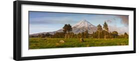 Mount Taranaki (Egmont) Illuminated at Sunrise, North Island, New Zealand-Doug Pearson-Framed Photographic Print