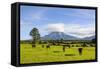 Mount Taranaki, North Island, New Zealand, Pacific-Michael Runkel-Framed Stretched Canvas